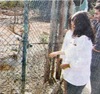 Tueini and Mario Ghorayyeb feed the deers